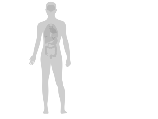 diagrama de especialidades medicas